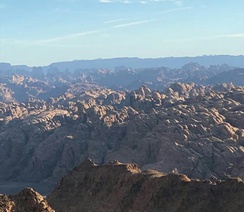 Picture that was posted on 1 June 2020